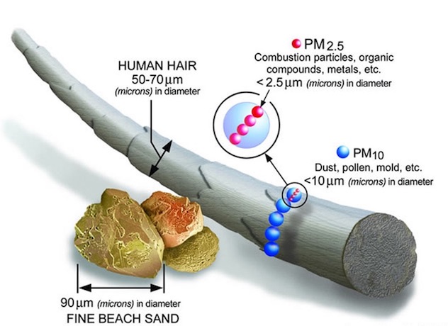 Diagram showing the relative sizes of particulates compared with beach sand and human hair