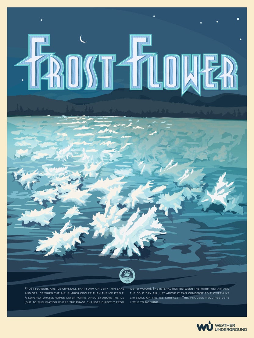 Frost Flower